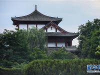 甘肃崇信：秀美龙泉寺 夏日好乘凉