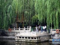 济南：护城河畔夏意渐浓
