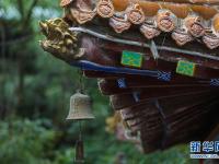 甘肃崇信：秀美龙泉寺 夏日好乘凉