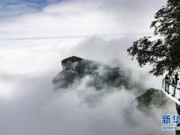 陕西汉中：龙头山云海美