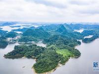 夏至红枫湖