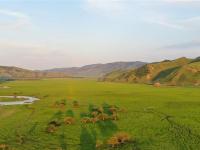 乌兰毛都草原盛夏即景