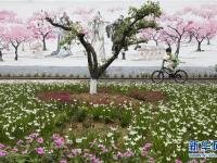 河南宝丰：美丽乡村入画来
