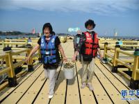 山东荣成：海洋牧场迎来夏季旅游热