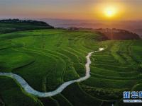 贵州高坡夏日即景
