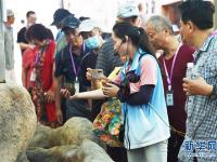 山东荣成：海洋牧场迎来夏季旅游热