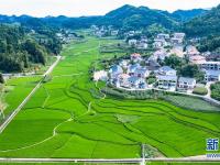 红色圣地的“初心答卷”——革命老区遵义肝胆相照写征程