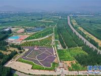 河北迁安：沙荒地变现代农业园