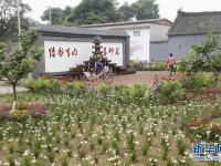 河南宝丰：美丽乡村入画来