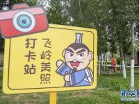 飞岭村：一个小山村的华丽转身