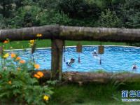浙江桐庐：畲乡山村旅游兴