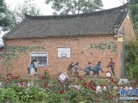 河南宝丰：美丽乡村入画来
