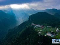 贵州高坡夏日即景
