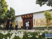 河南宝丰：美丽乡村入画来