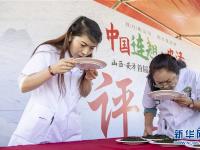 斗茶艺 赛茶香