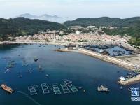 山东长岛：生态秀美环碧海