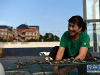 走向我们的小康生活|辽宁獐岛：小渔村“美丽蝶变”