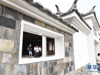 福建福鼎：畲乡特色产业助乡村振兴