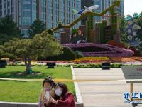 北京：多彩花坛迎国庆