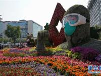 北京：多彩花坛迎国庆