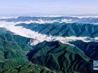 
云起峰峦间 紫柏山如画
