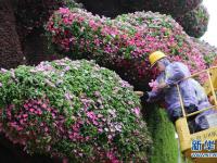 锦绣花坛迎国庆