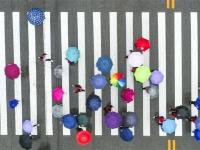 雨中“五线谱”