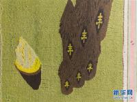 黑龙江富锦：万亩稻海迎丰收