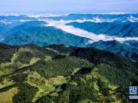 
云起峰峦间 紫柏山如画
