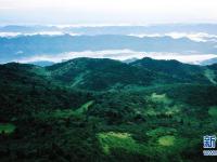 
云起峰峦间 紫柏山如画
