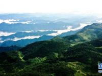 
云起峰峦间 紫柏山如画
