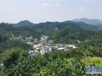 宁夏西吉：冷凉蔬菜产业助脱贫
