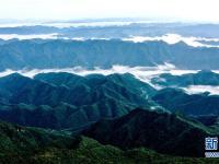 
云起峰峦间 紫柏山如画
