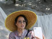 浙江临安：山核桃开杆采收