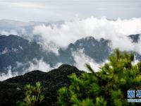
云起峰峦间 紫柏山如画
