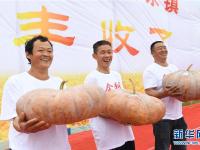 多彩活动 喜迎丰收