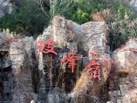 北京坡峰岭：金秋红叶引游人