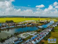 淮安涟水县扁担村：“金扁担”挑起村民“幸福担”