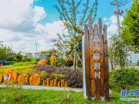 淮安涟水县扁担村：“金扁担”挑起村民“幸福担”