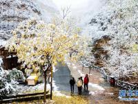 雪落太行