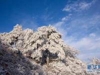 安徽霍山雪景如画