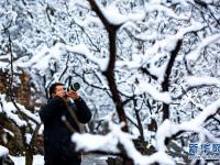 雪落太行