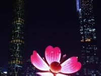 广州：灯光璀璨夜