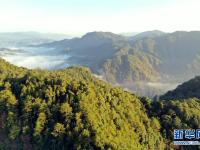 梅花山：闽西绿色翡翠