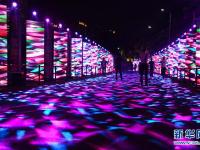 广州：灯光璀璨夜