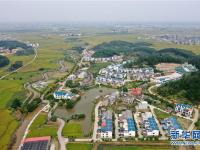 广西宾阳：乡村秋景美