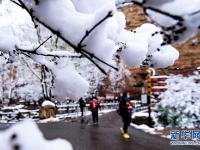 雪落太行