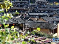 福建尤溪：诗意桂峰 晒秋人家