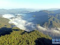 梅花山：闽西绿色翡翠