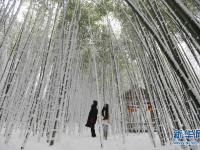 寒潮来袭 多地降雪